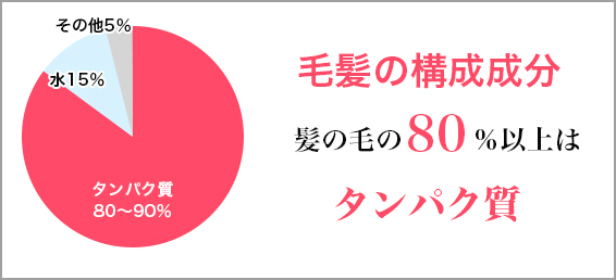 毛髪の構成成分はタンパク質が中心